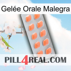 Gelée Orale Malegra 26